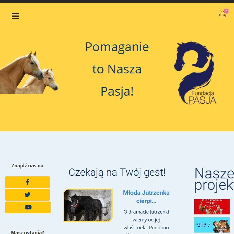 Adopcja wirtualna konia