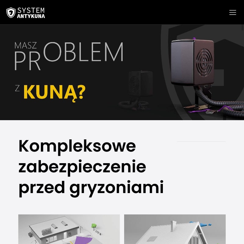 Jak się pozbyć kuny z domu